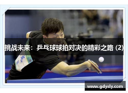 挑战未来：乒乓球球拍对决的精彩之路 (2)