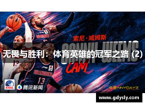 无畏与胜利：体育英雄的冠军之路 (2)
