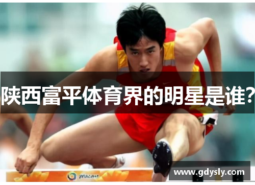 陕西富平体育界的明星是谁？